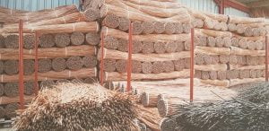 Musgrove 1 e1564040143392 600x292 1