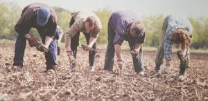 Musgrove 2 e1564040129492 600x292 1