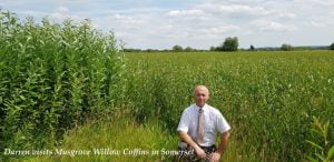 Musgrove 4 768x373 1